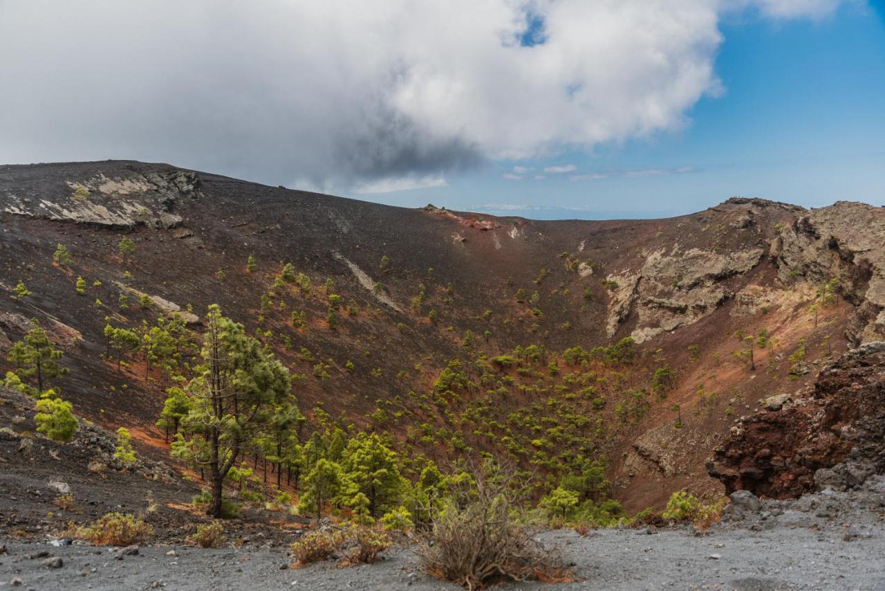 شقة Mirador Del Atlantico Los Quemados المظهر الخارجي الصورة